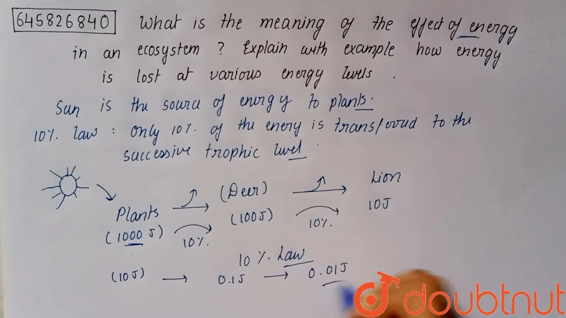 What is the meaning of the effect of energy in an ecosystem?Explain with  example how enregy is lost at the various energy levels.