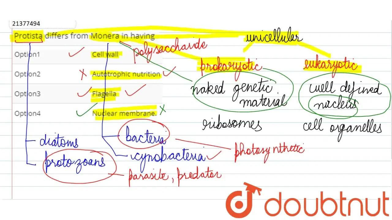 Protista differs from Monera in having