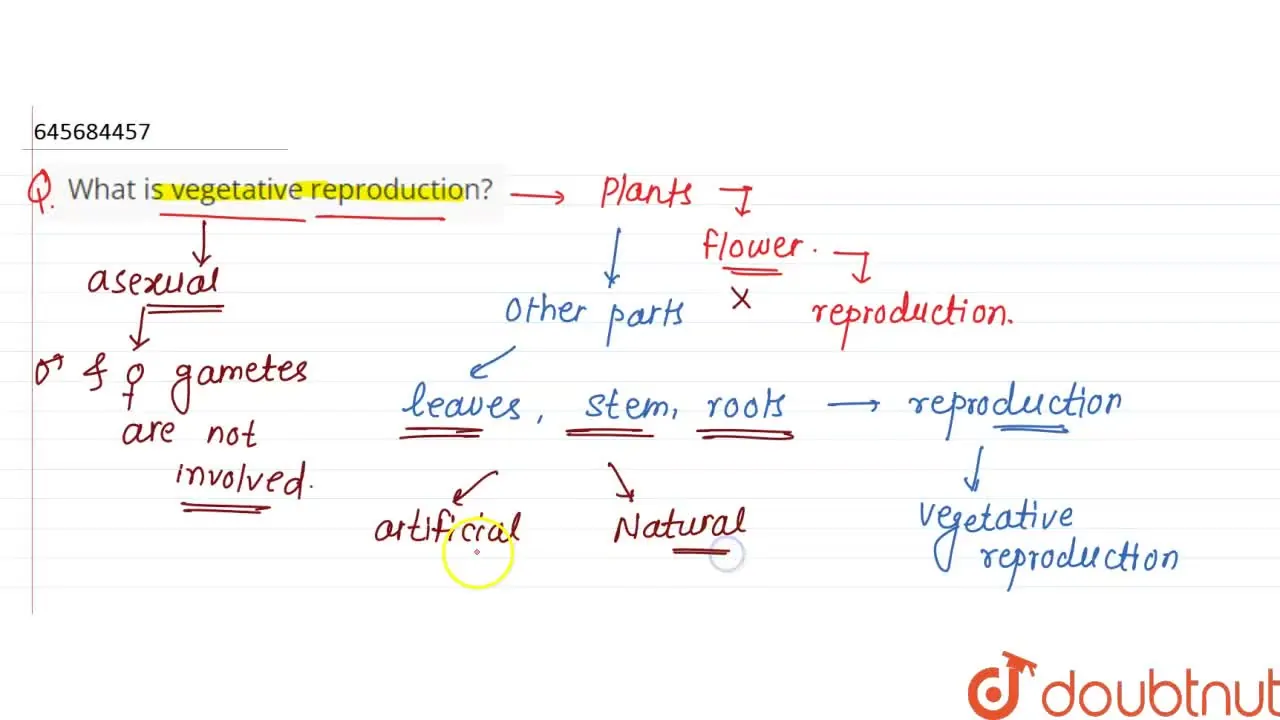 What is vegetative reproduction?