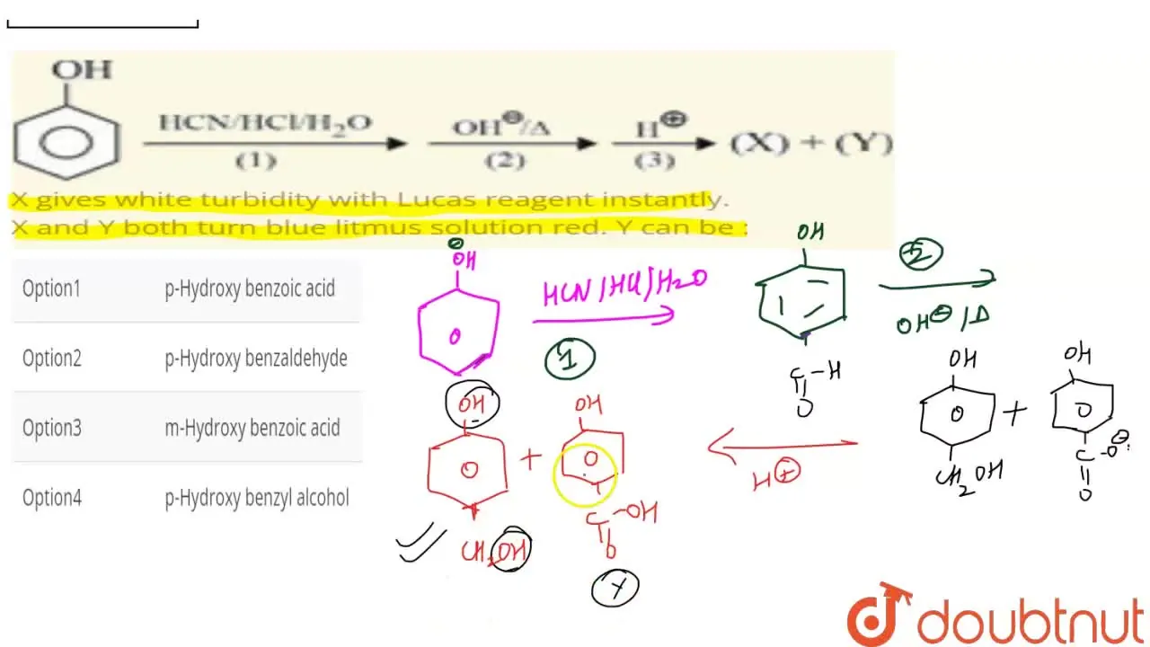 X gives white turbidity with Lucas reagent instantly. X and Y both t