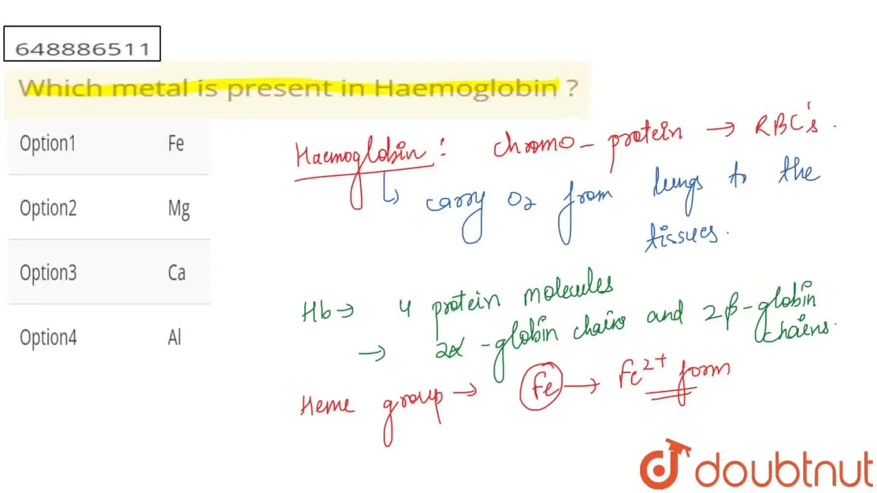 Which Metal Is Present In Haemoglobin