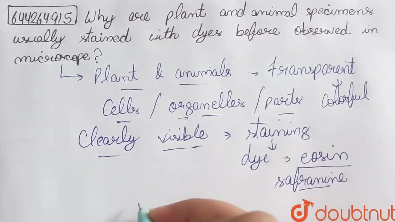 why are plant and animal specimens usually stained with dyes before ob
