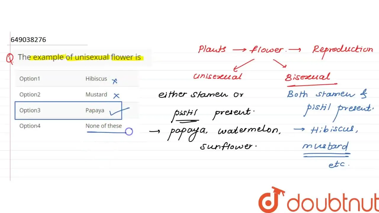 The example of unisexual flower is