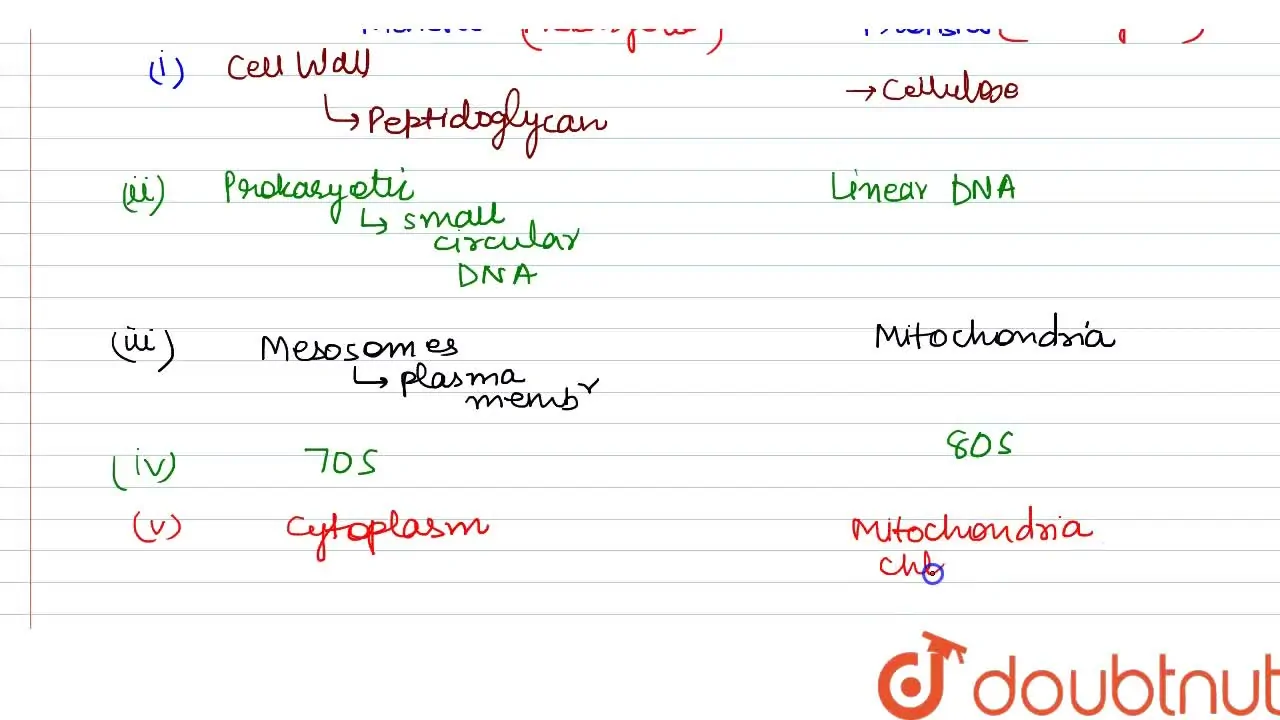 Difference between monera protista and fungi in tabular form (91) foto