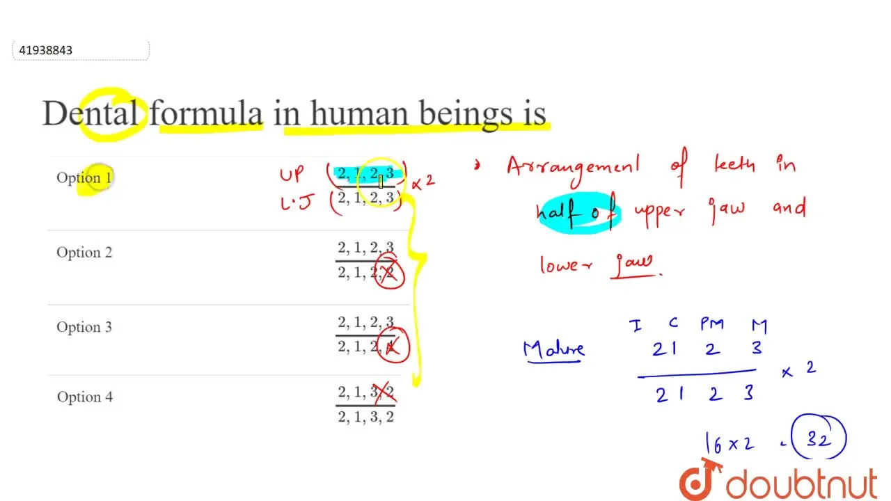 Dental formula of elephant is