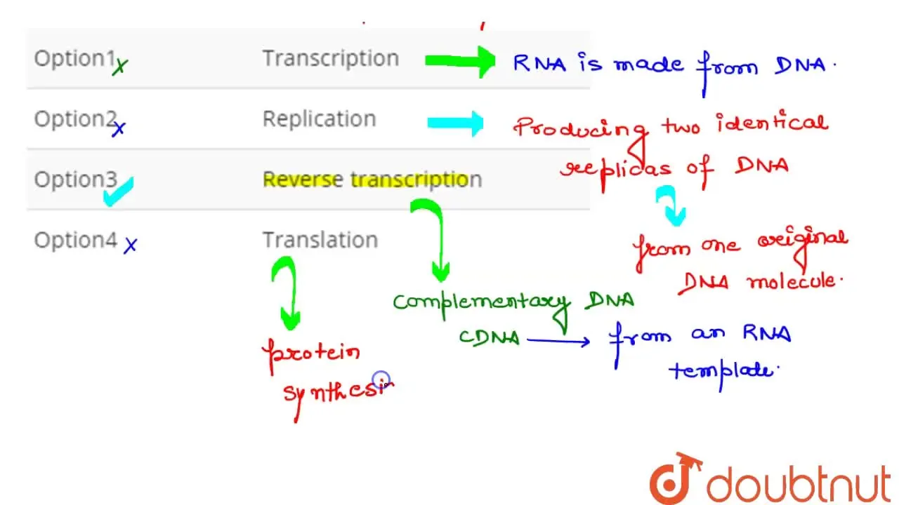 cDNA is formed by