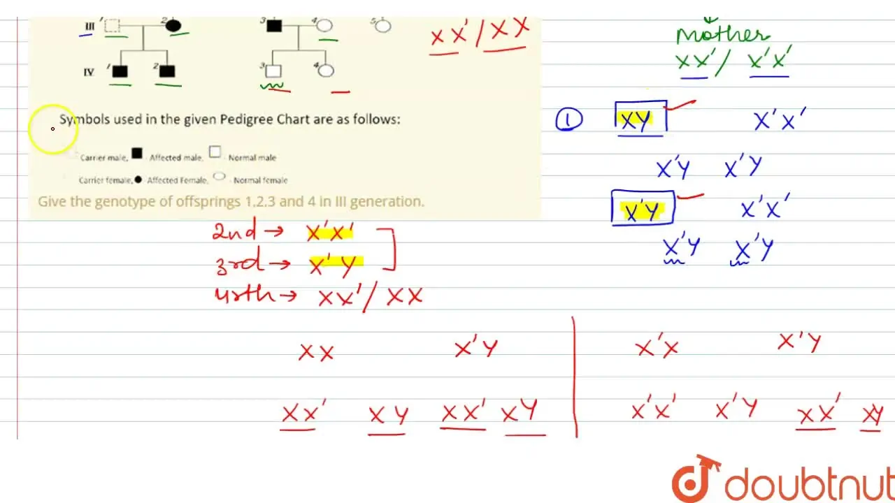 Study The Pedigree Chart Given Below And Answer The Questions That Fol