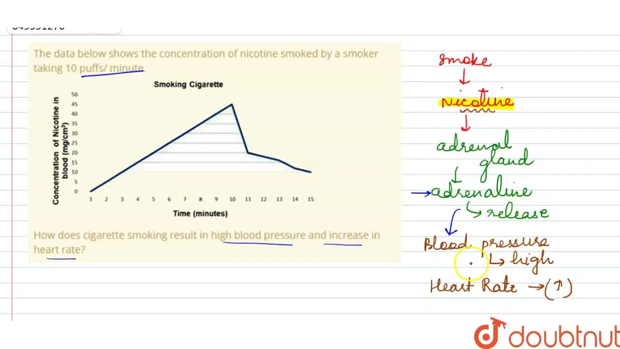 how much was cigarettes in 2000 How much does a pack of cigarettes cost where u are? : r/stopsmoking how much was cigarettes in 2000 How much does a pack of cigarettes cost where u are? : r/stopsmoking