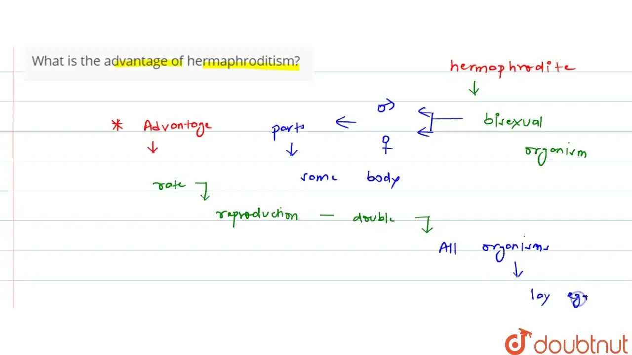 What is the advantage of hermaphroditism?