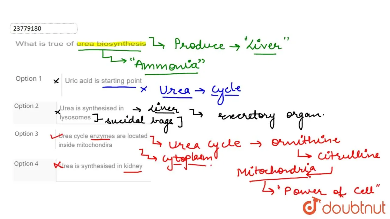 What is true of urea biosynthesis