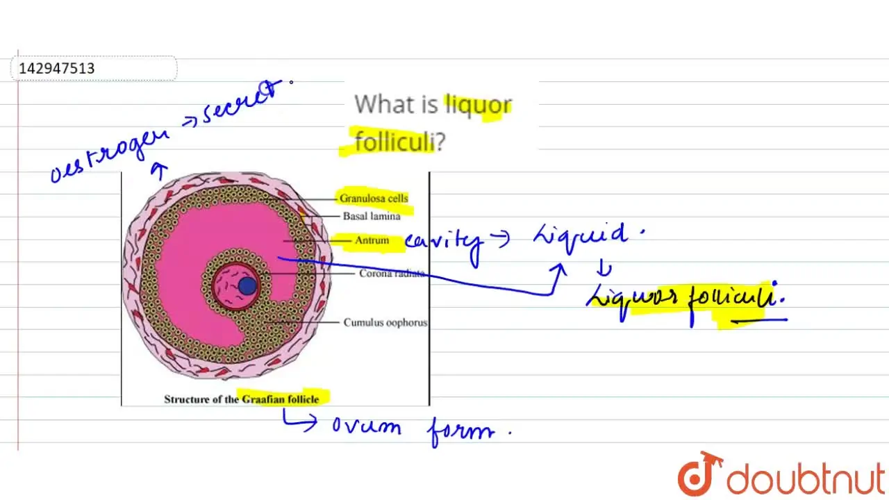 [Bengali Solution] What is liquor folliculi?