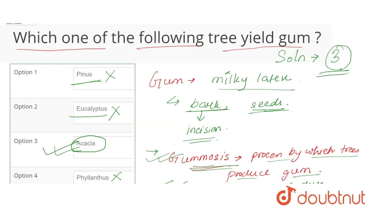 [Bengali Solution] Which one of the following tree yield gum