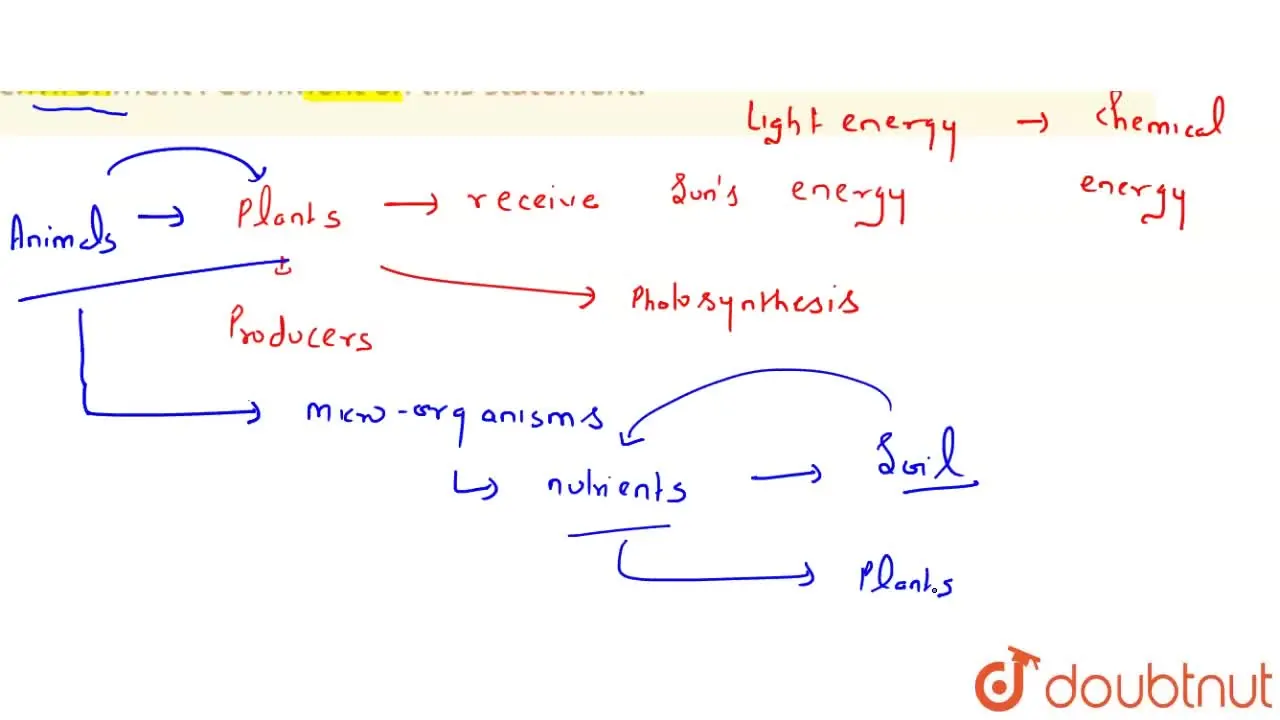 All the solar energy trapped by green plants ultimately returns to the
