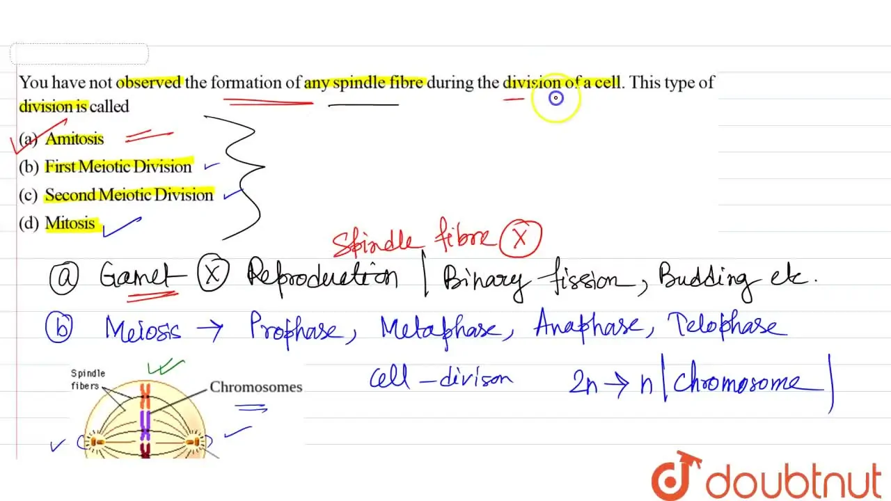 [Bengali Solution] You have not observed the formation of any spindle
