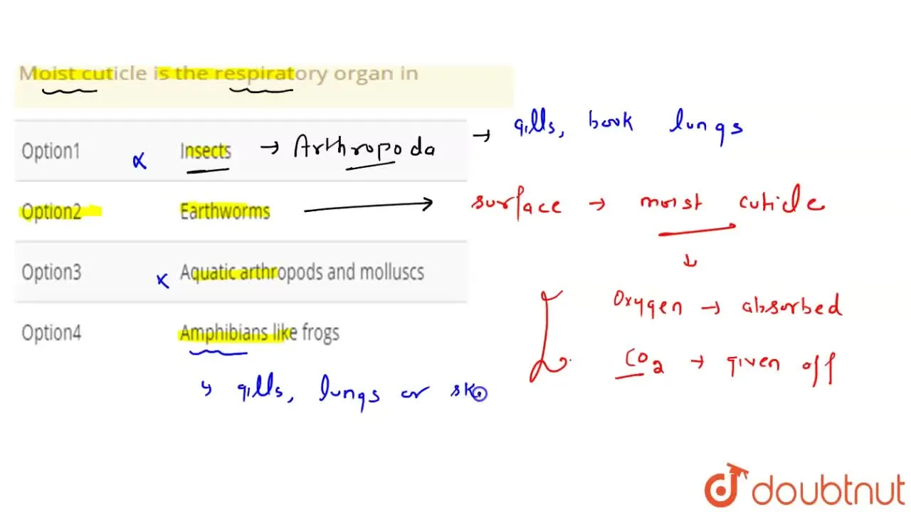 Moist cuticle is the respiratory organ in