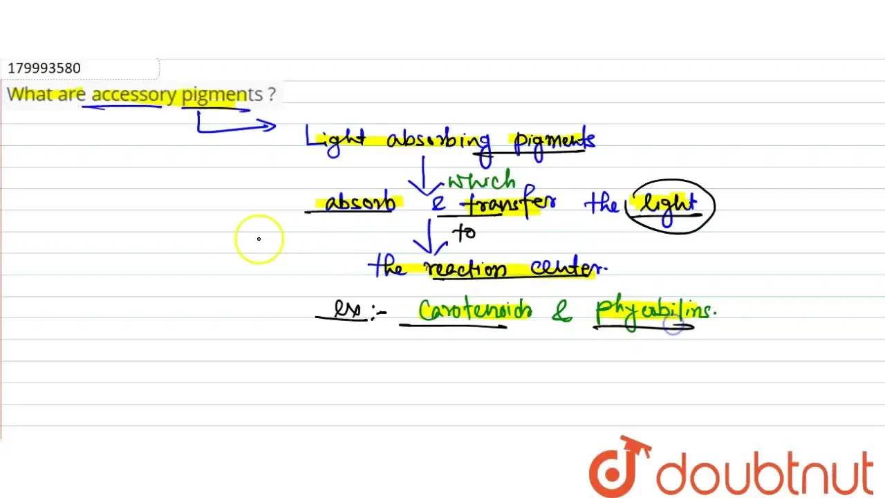 [Bengali Solution] What are accessory pigments