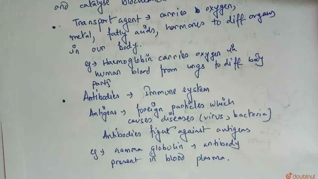 [Bengali] State the essential biological activities of protein.