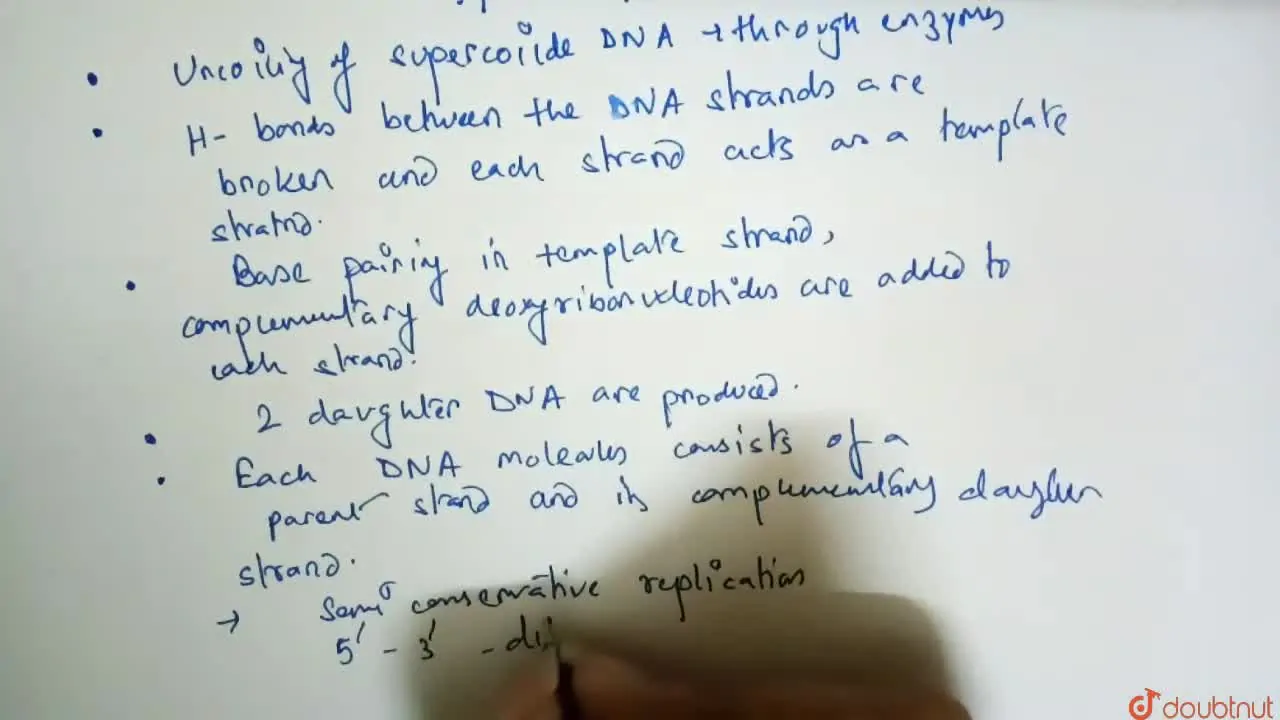 [Bengali] Define nucleic acid. State its role in replication.