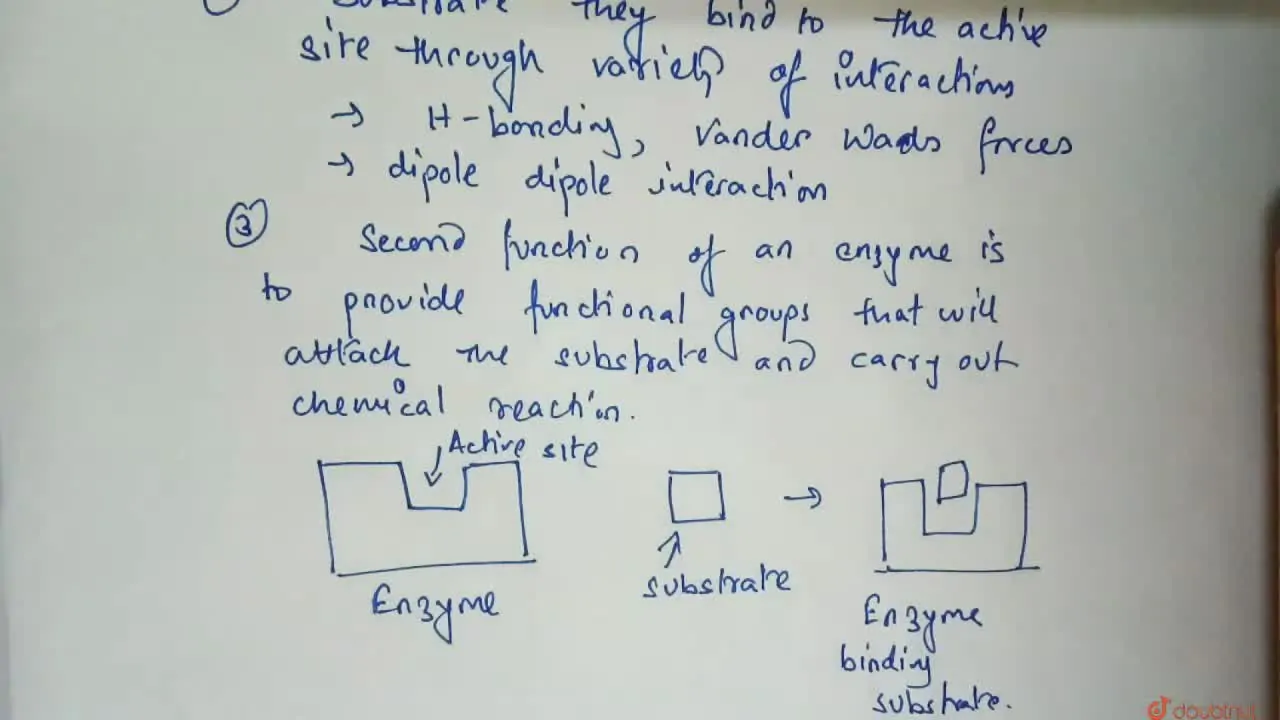 [Bengali] How do enzymes help a substrate to be attacked by the reagen