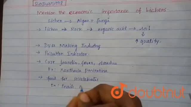 [Tamil Solution] Mention the economic importance of lichens.