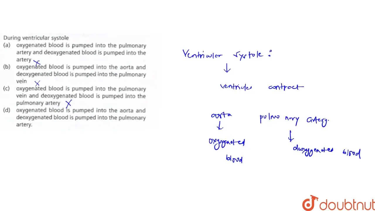 Tricuspid and Bicuspid valves are closed