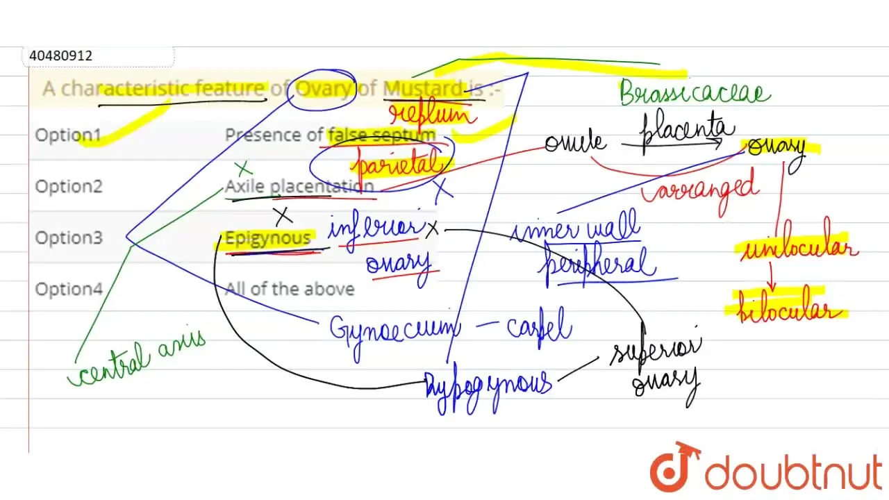 A characteristic feature of Ovary of Mustard is
