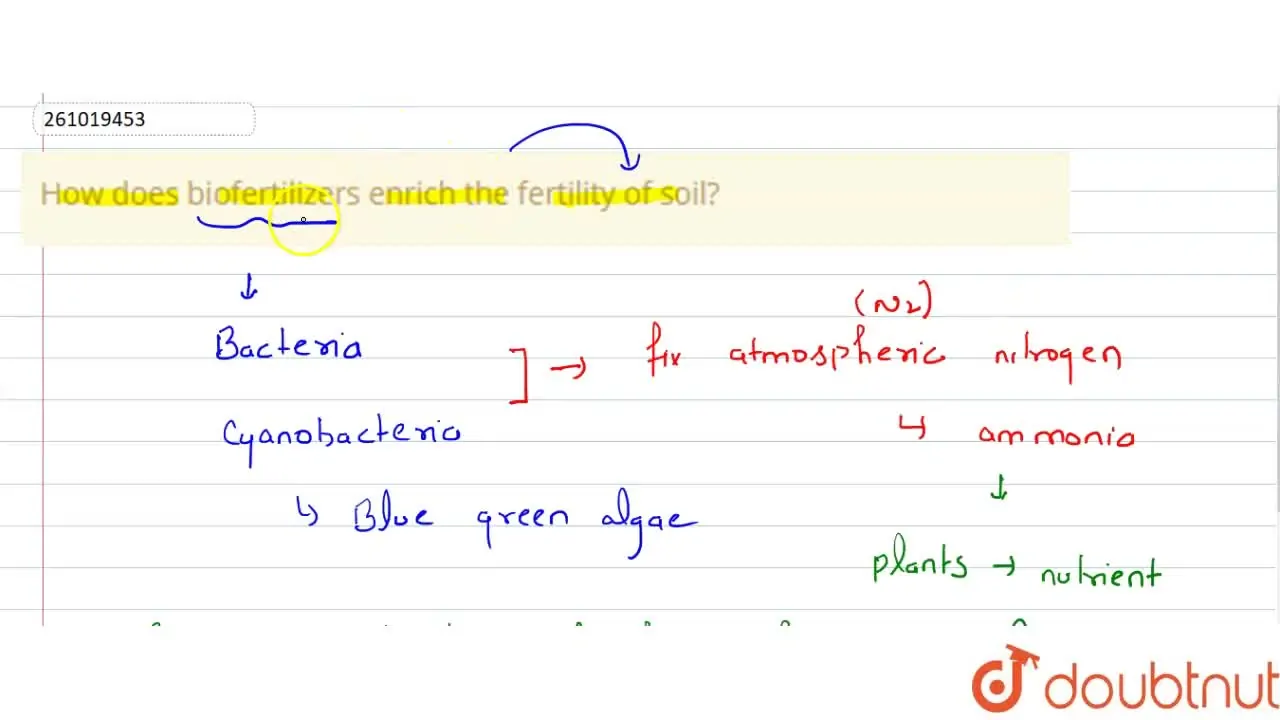 How does biofertilizers enrich the fertility of soil?