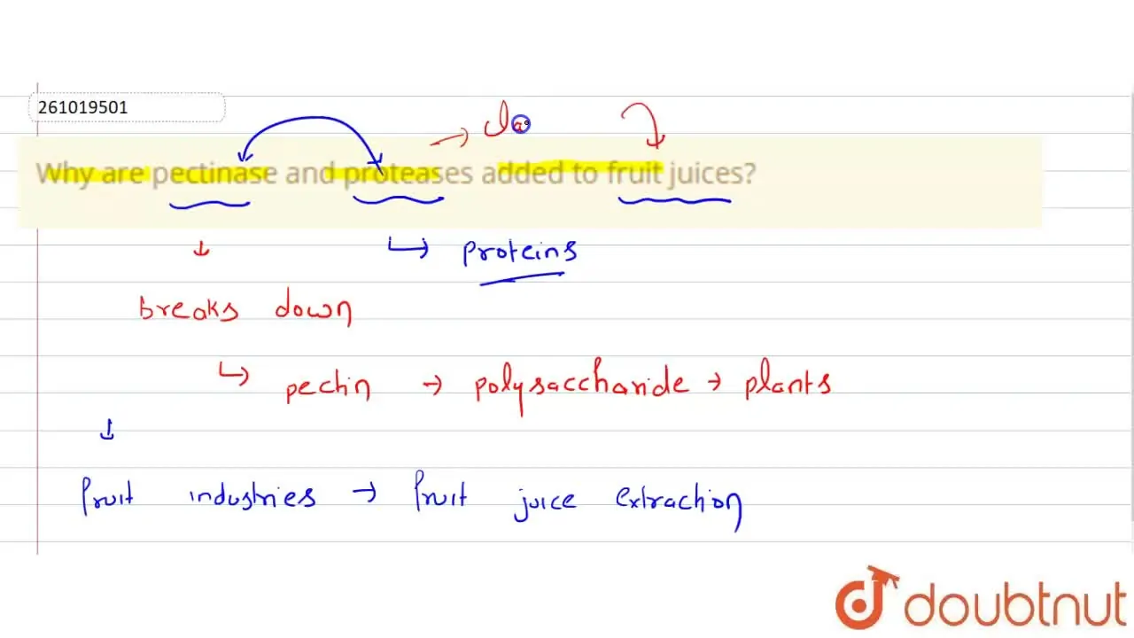 Why are pectinase and proteases added to fruit juices?