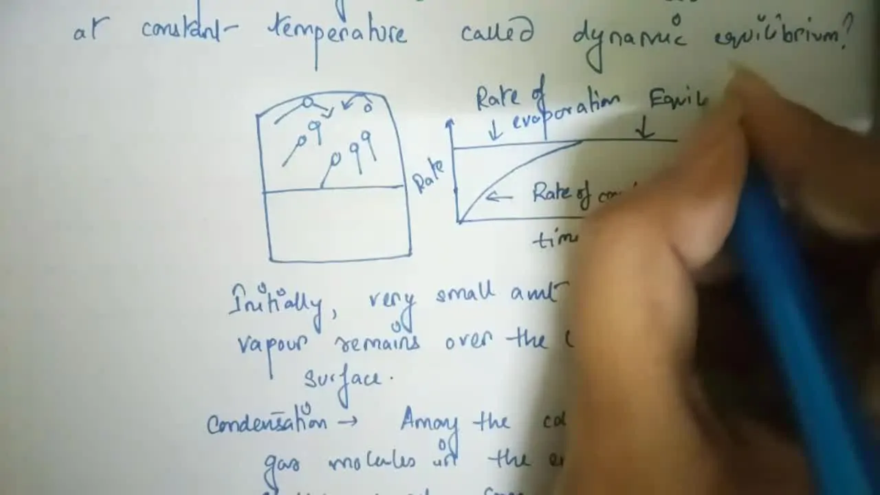 [Bengali] Why is the equilibrium established in the evaporation of a l