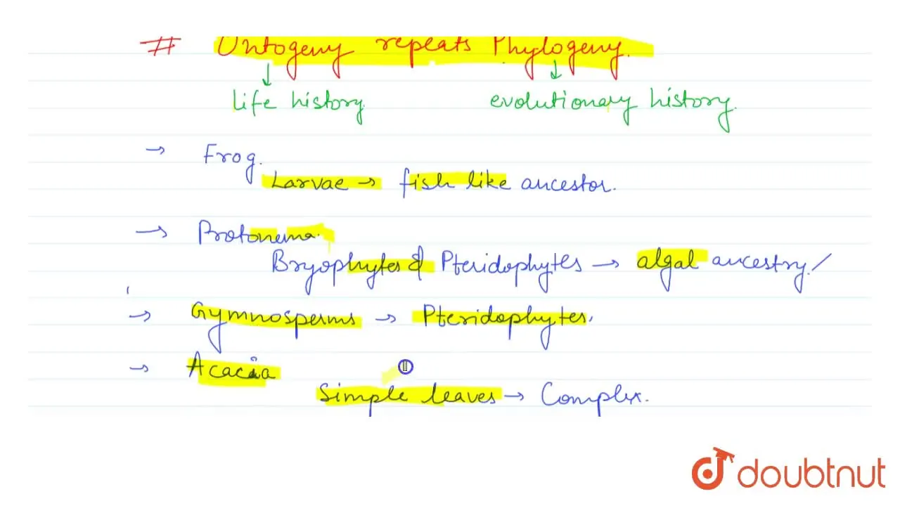 Recapitulation Theory