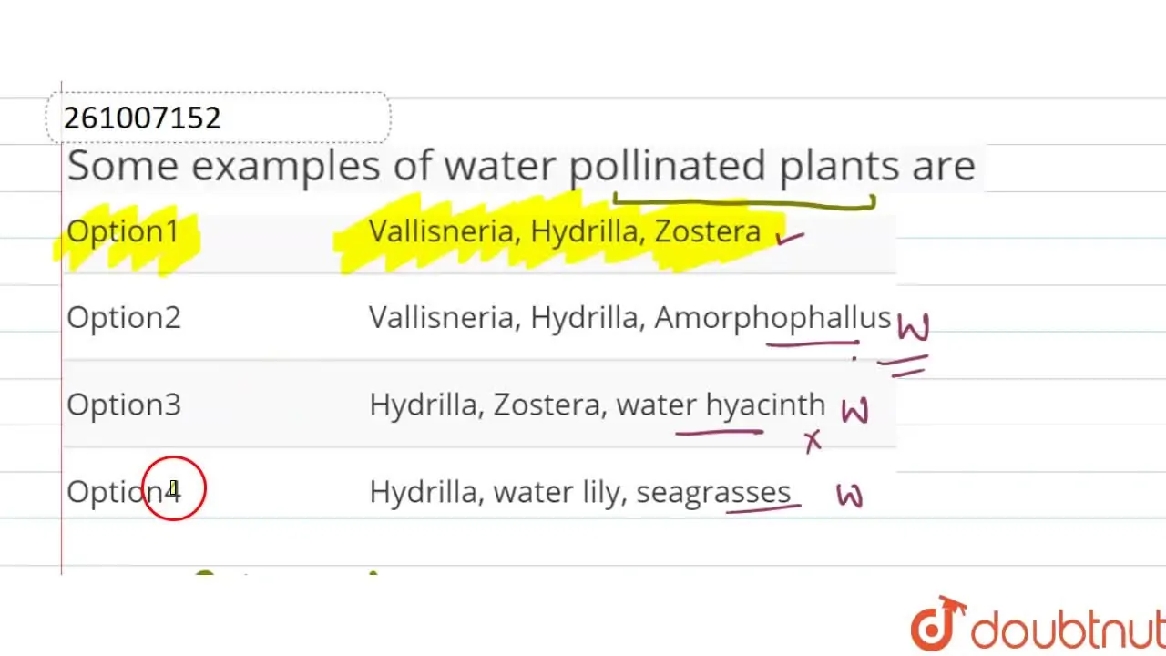 Welche Pflanzen werden durch Wasser bestäubt?