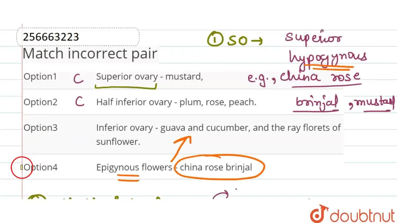 Inferior ovary guava and cucumber, and the ray florets of sunflower.