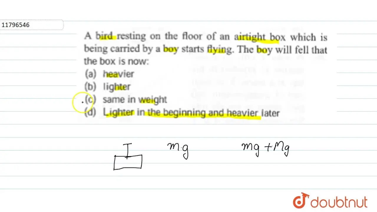 A bird resting on the floor of an airtight box which is being carried