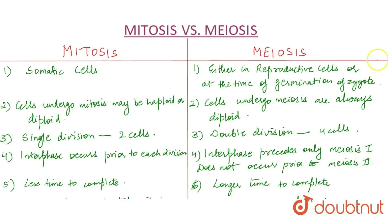 Difference Between Mitosis And Meiosis