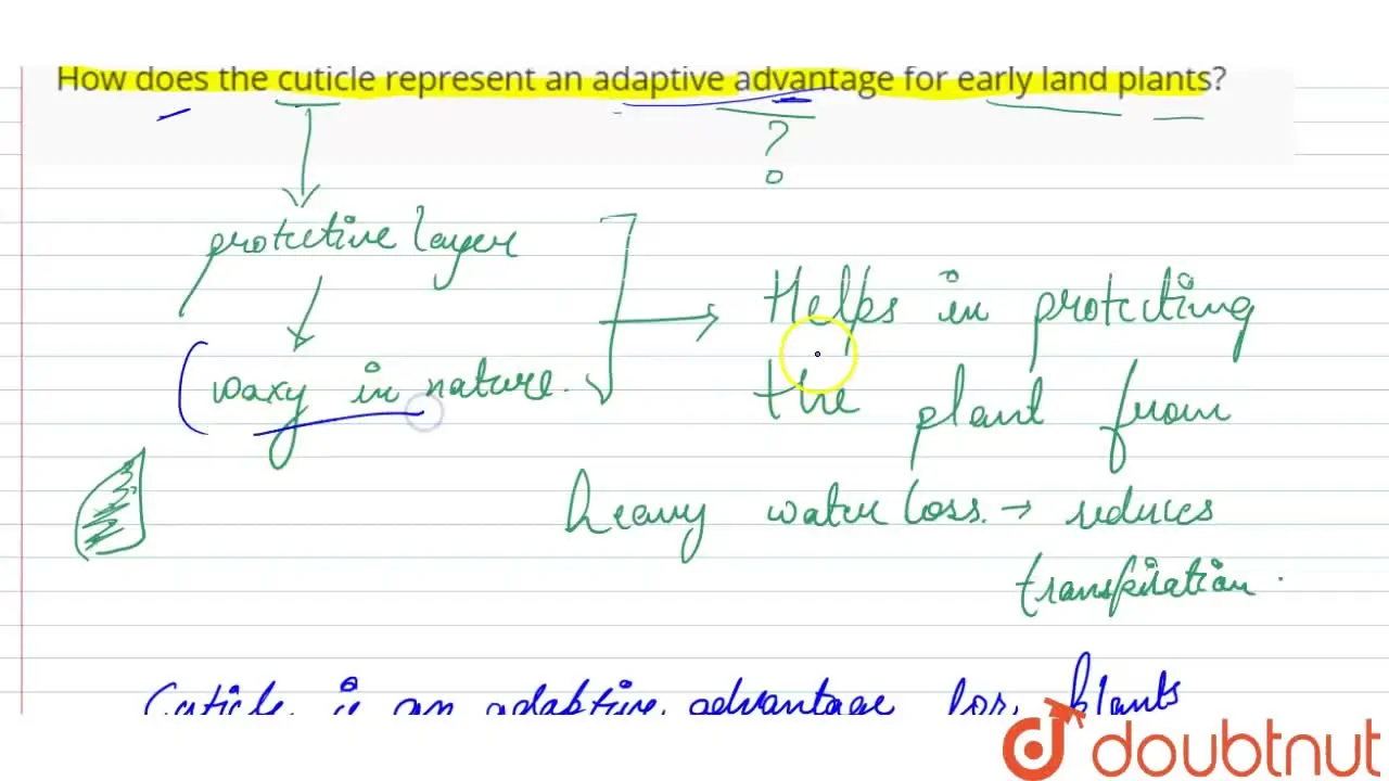 How does the cuticle represent an adaptive advantage for early land pl