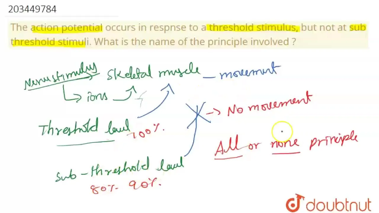 [Tamil Solution] The action potential occurs in respnse to a threshold
