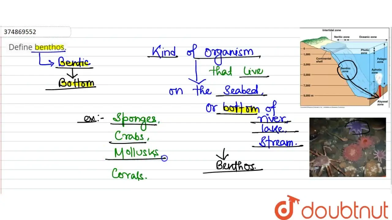 [Bengali Solution] Define benthos.
