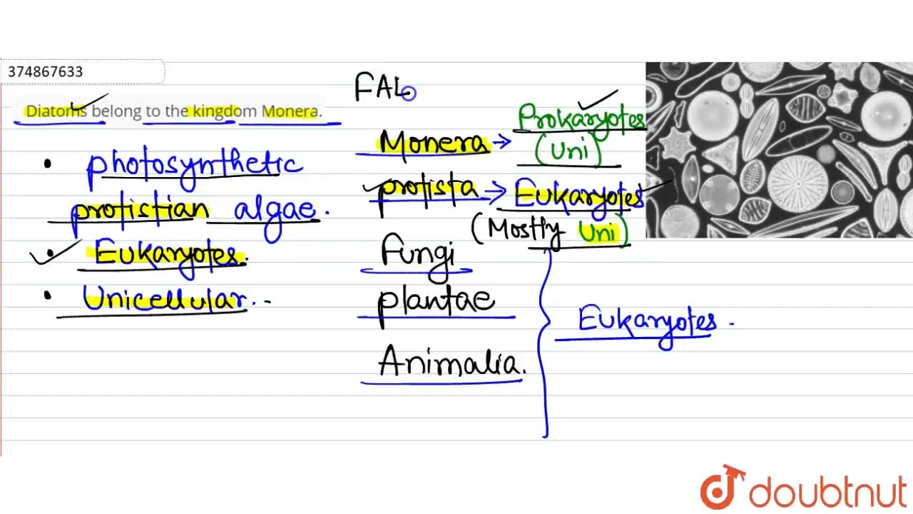 Biology kingdom monera (96) foto
