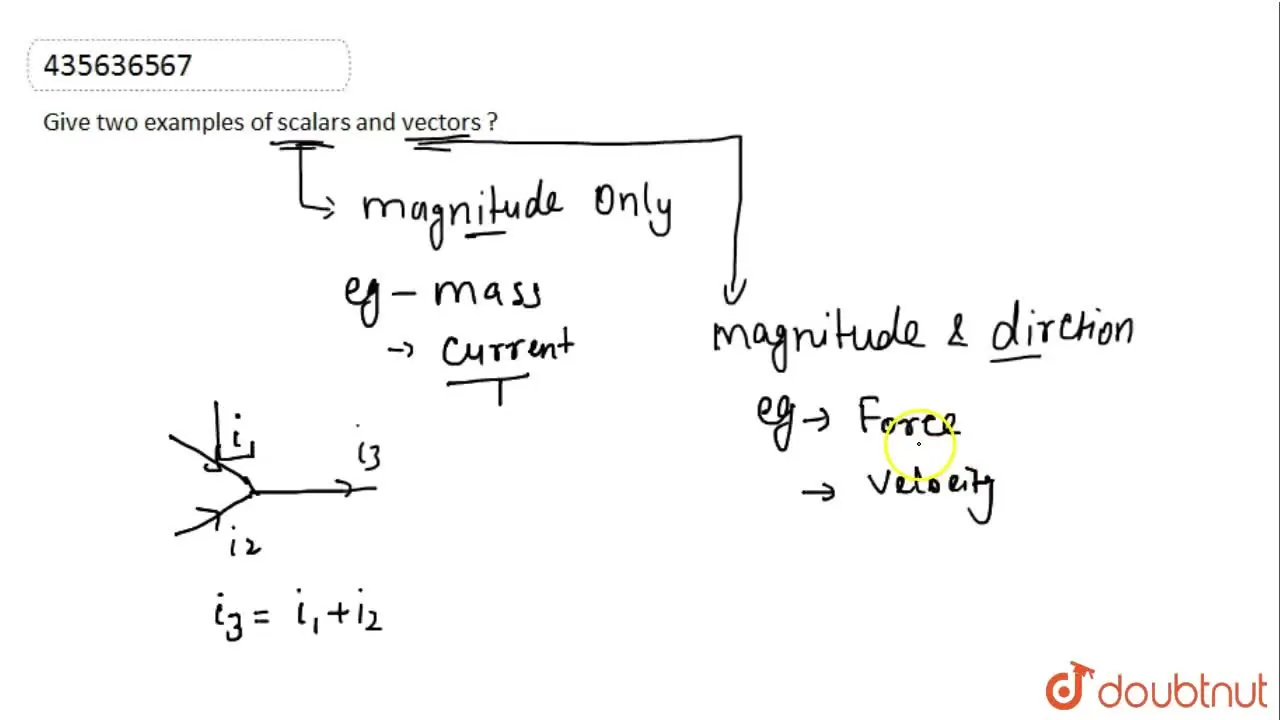 Give two examples of scalars and vectors