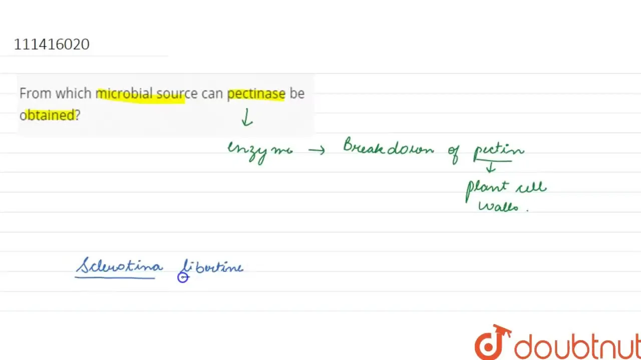 From which microbial source can pectinase be obtained?