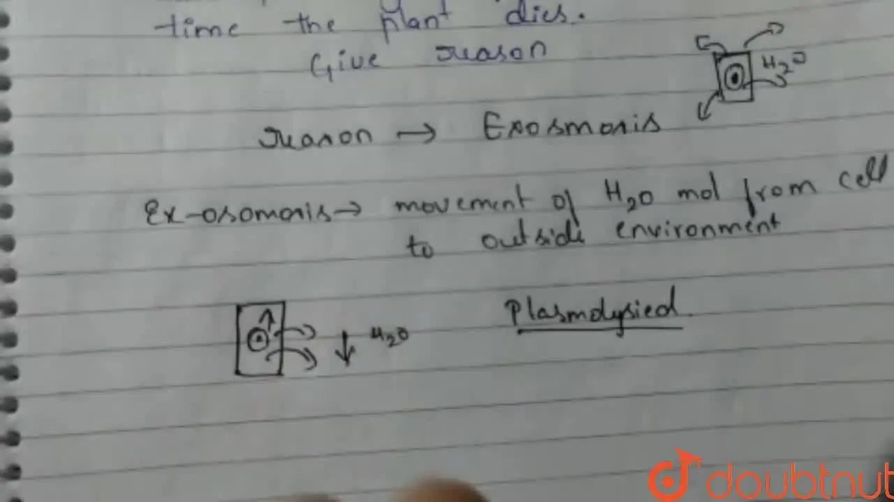 [Kannada Solution] A flowering plant is planted in an earthern pot, an