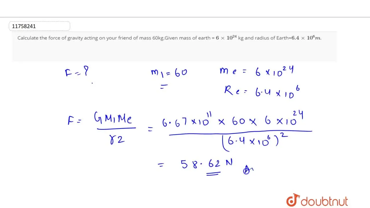 Kg 2024 x gravity