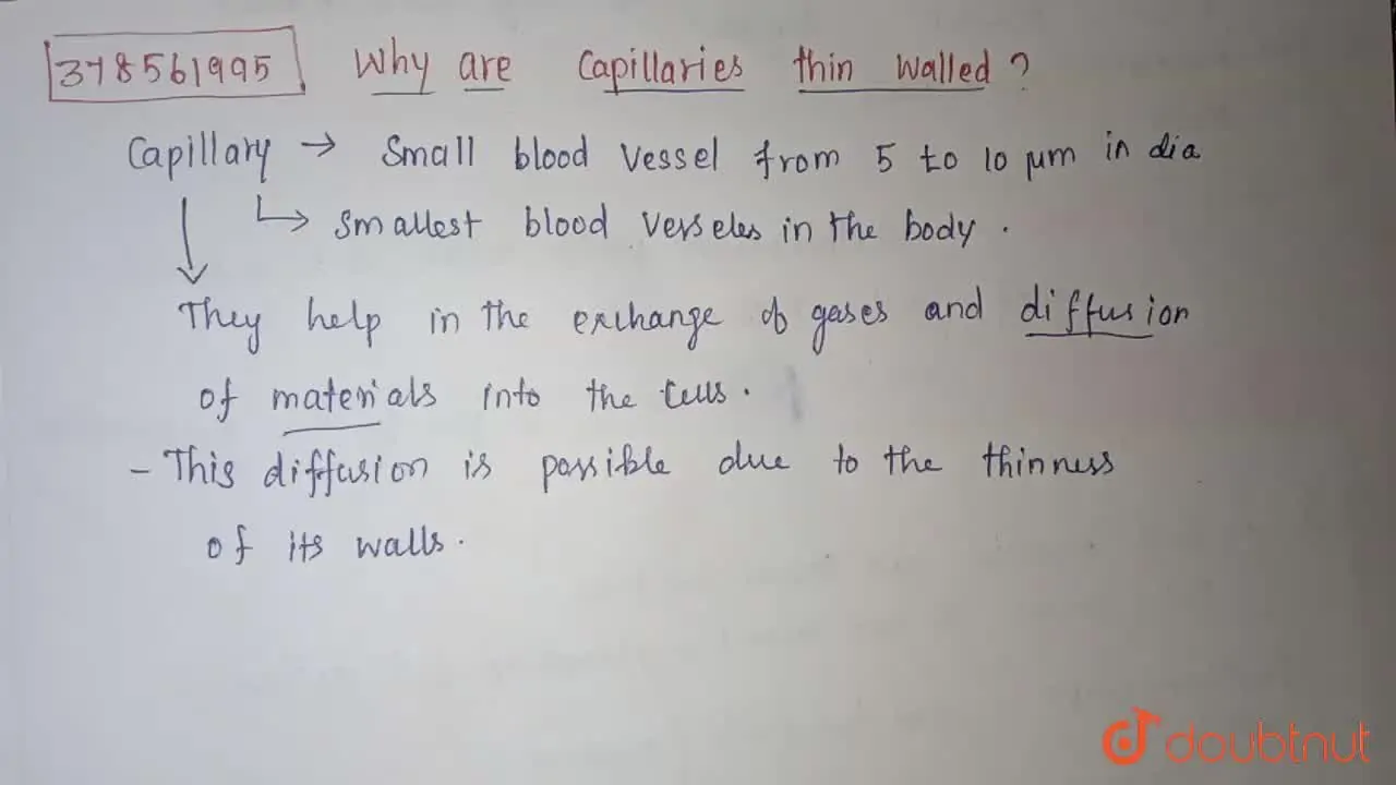 [Tamil Solution] Why are capillaries thin walled?