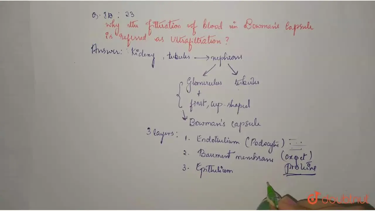 [Kannada Solution] Why the filtration of blood in Bowman's capsule is
