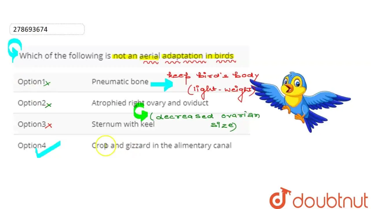 Which of the following is not an aerial adaptation in birds