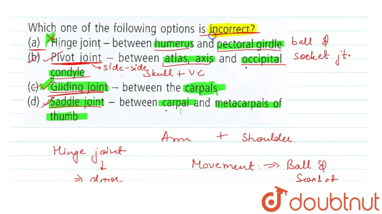 Gliding jointbetween the carpals