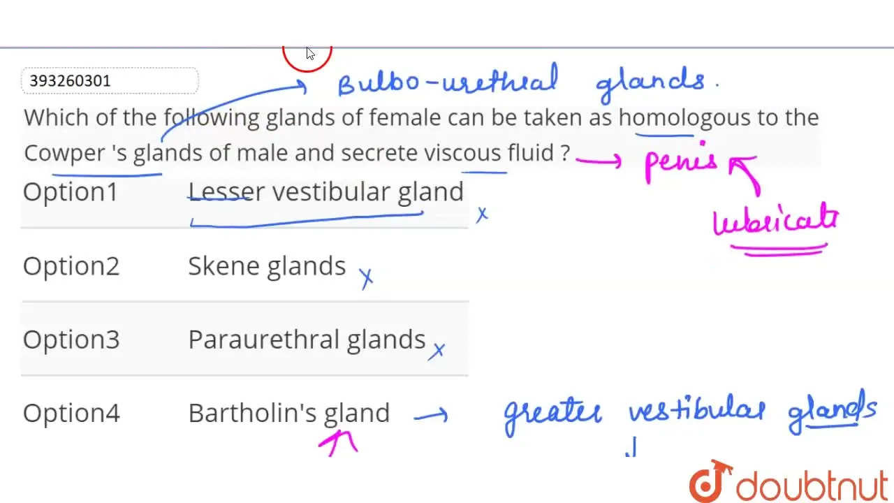 Which of the following glands of female can be taken as homologous to