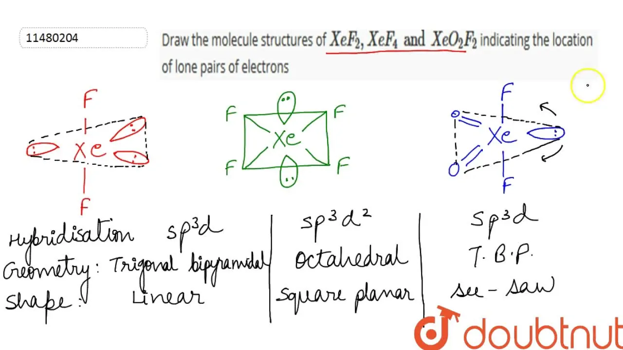 Draw the molecule structures of XeF(2),XeF(4) and XeO(2)F(2) indicatin
