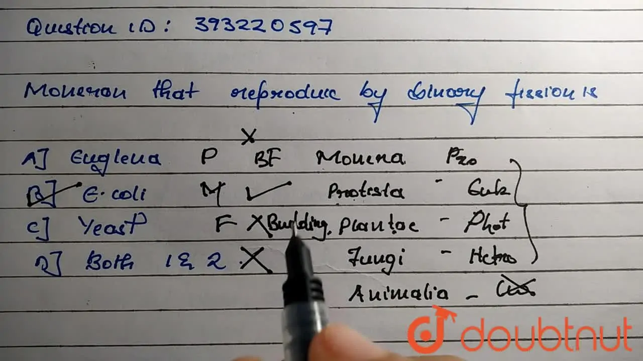Moneran that reproduce by binary fission is