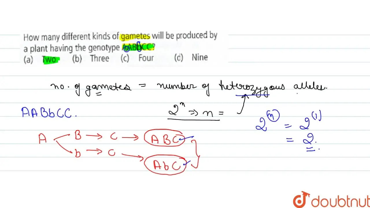 How many different kinds of gametes will be produced by a plant having